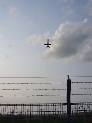 08080301.jpg
