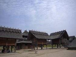 08041201.jpg