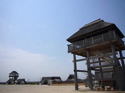 08041203.jpg