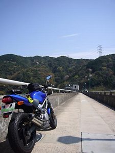 08041206.jpg