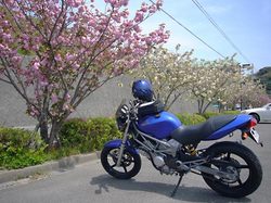 08042004.jpg