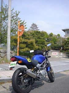 08042005.jpg