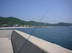 08050601.jpg