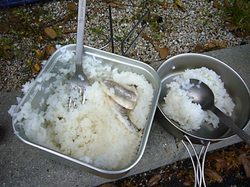 08050603.jpg