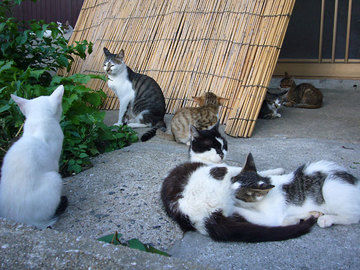 09082402.jpg