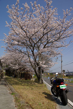 10040502.jpg