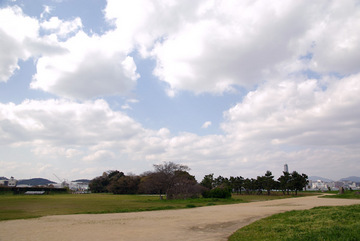 10040802.jpg