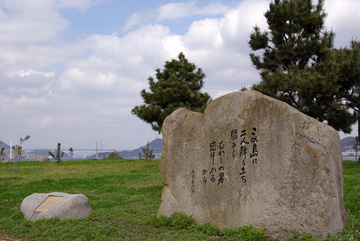 10040807.jpg