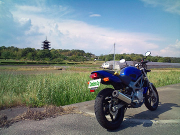 10060301.jpg