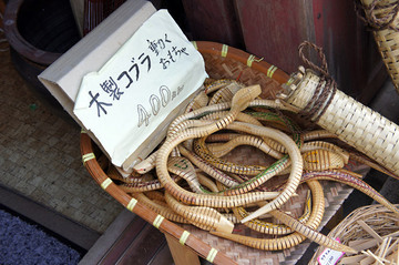 11080404.jpg