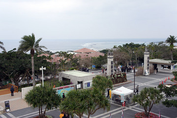 12012702.jpg