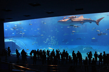 12012703.jpg