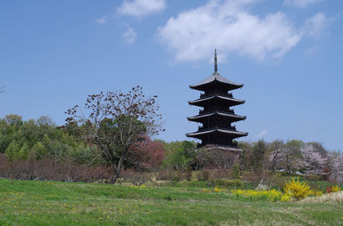 13040802.jpg