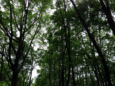 13060603.jpg