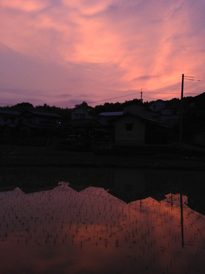 13062801.jpg