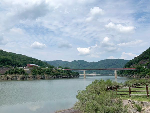 20071902.jpg