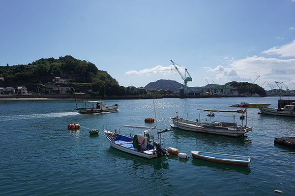 20101103.jpg