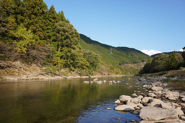 20103105.jpg