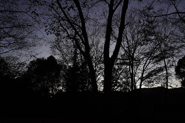 20120612.jpg