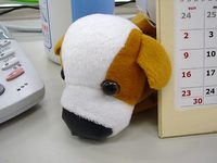 doggy01.jpg