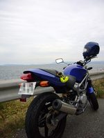 shikanosima02.jpg