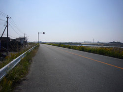 yanagawa01.jpg