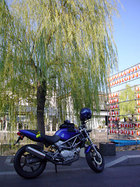 yanagawa04.jpg