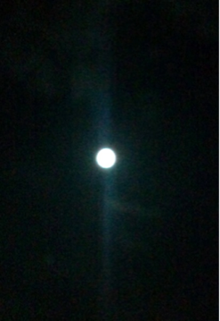 image-20100923023153.png